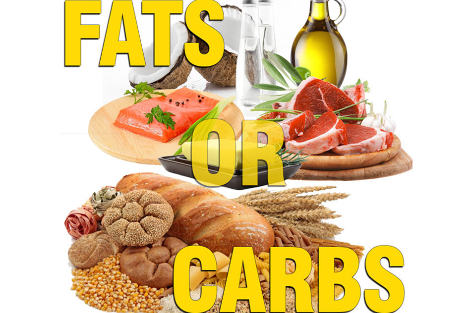 LOW CARBS or LOW FAT?